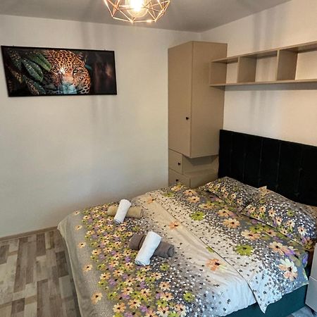 Select Apartament Bvd Stefan Cel Mare ยาช ภายนอก รูปภาพ
